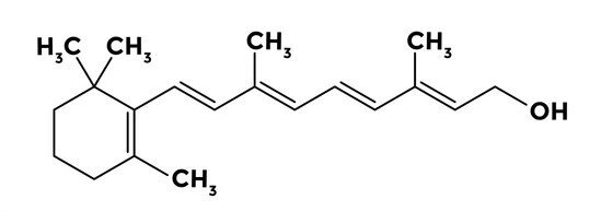 You are currently viewing Vitamin A plays a crucial role in maintaining healthy vision